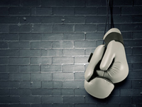 Boxen Wetten