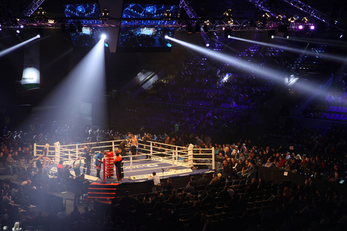 Boxen wetten