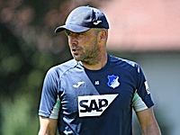 Alfred Schreuder (Hoffenheim)