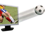 Live Wetten