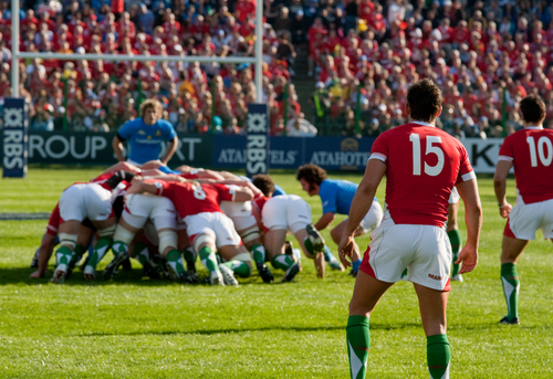 Rugby Wetten