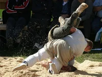 Schwingen Wetten