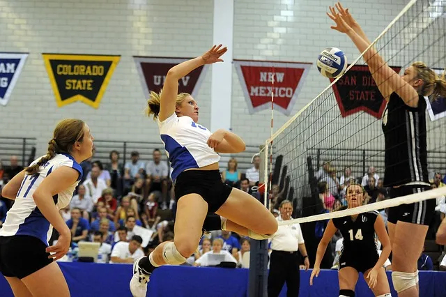 volleyball wetten