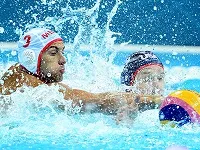 Wasserball Wetten
